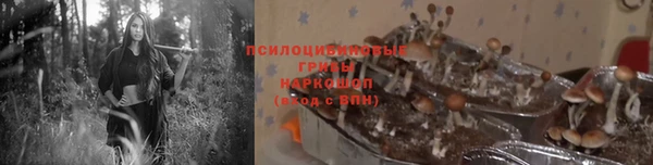 кокс Няндома