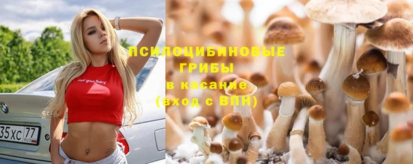 кокс Няндома