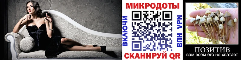 Псилоцибиновые грибы MAGIC MUSHROOMS  Купить закладки  Ачхой-Мартан 